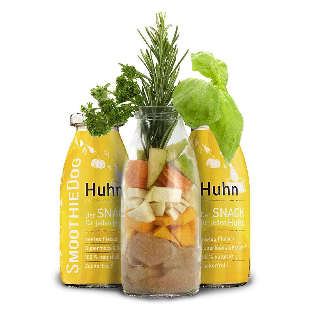 Smoothie pour chien au poulet