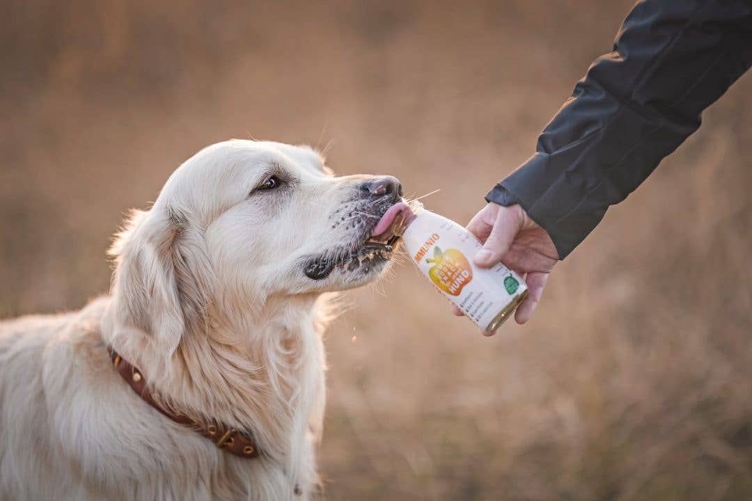 Smoothie pour chien Immunio