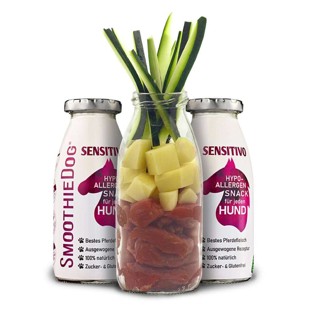 Smoothie pour chiens Sensitivo