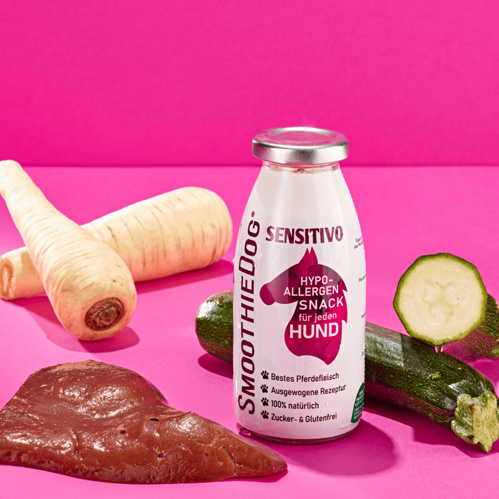 Smoothie pour chiens Sensitivo