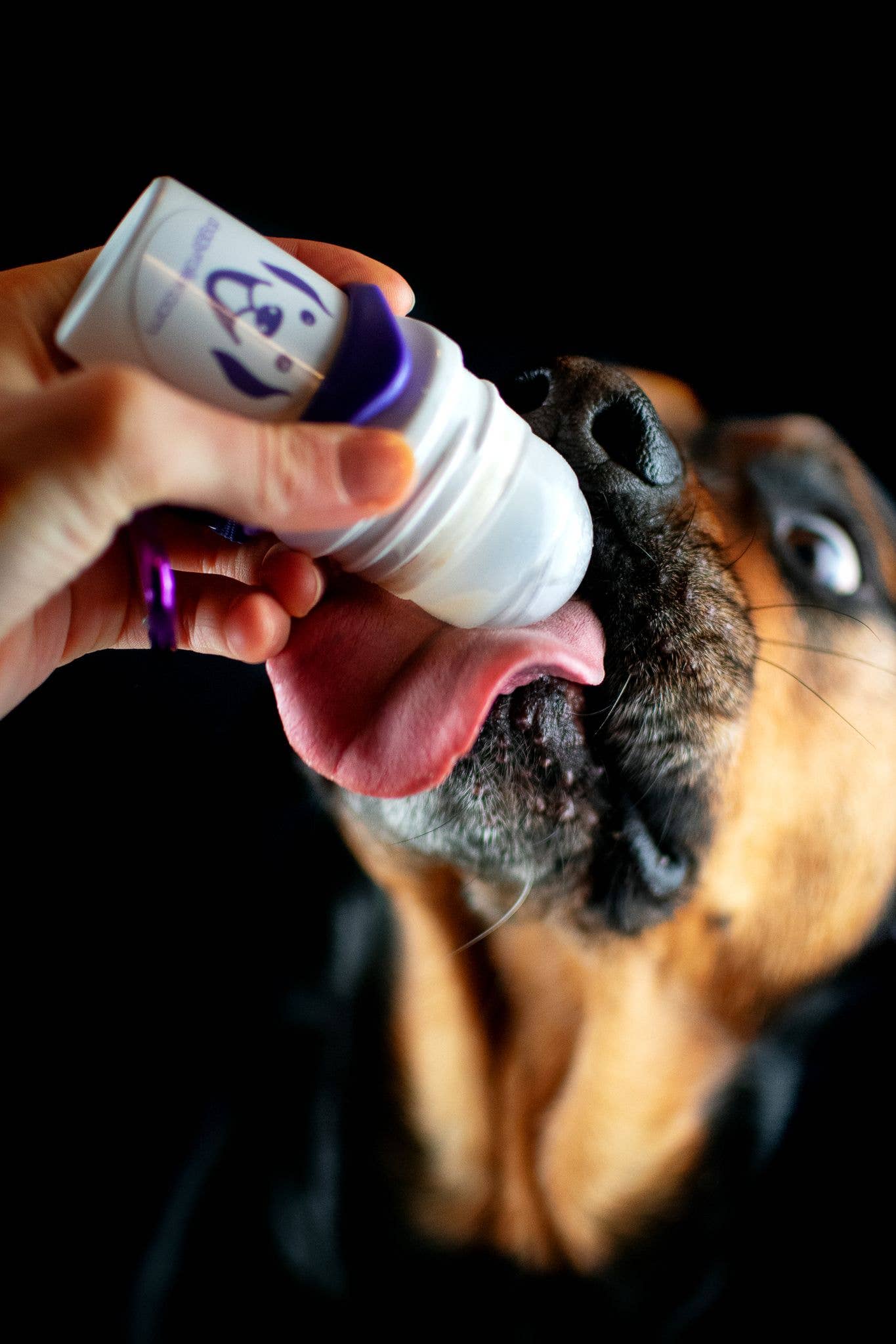 DOGGYROLLER distributeur de friandises - rechargeable