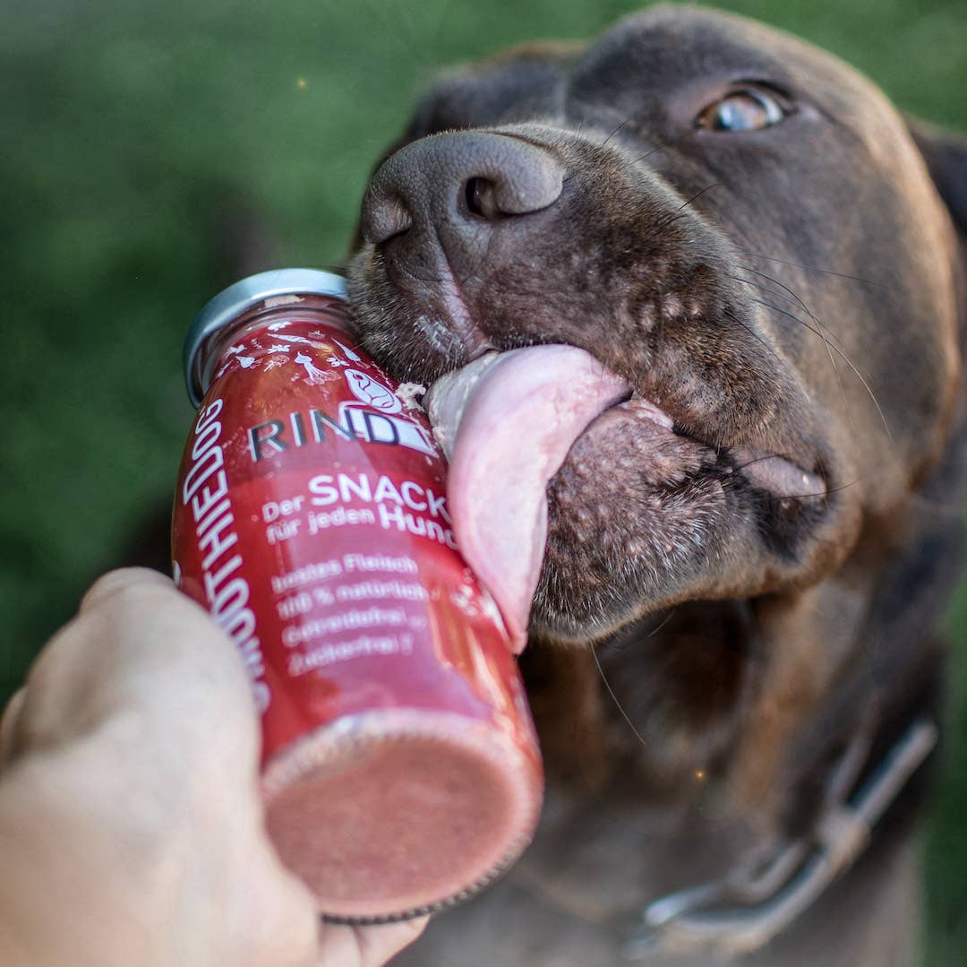 Smoothie pour chien au bœuf