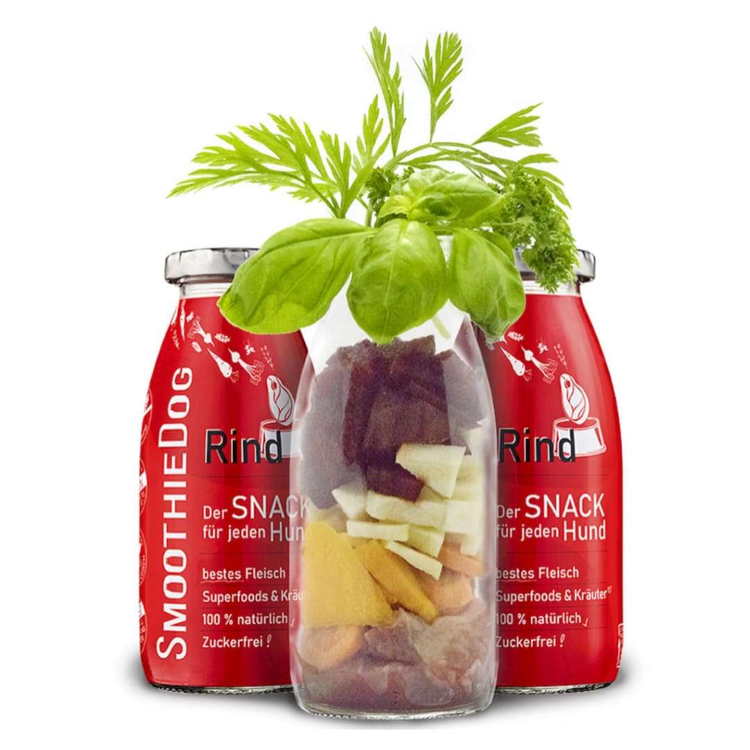 Smoothie pour chien au bœuf
