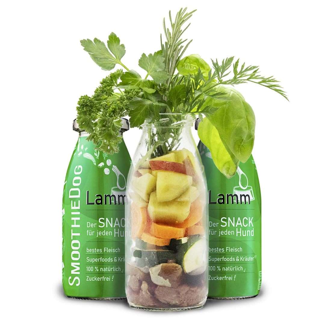 Smoothie pour chien à l'agneau