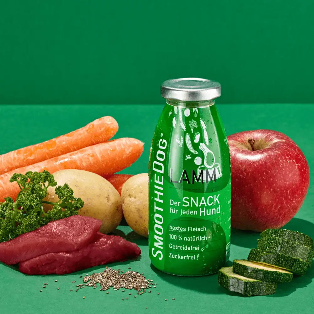 Smoothie pour chien à l'agneau