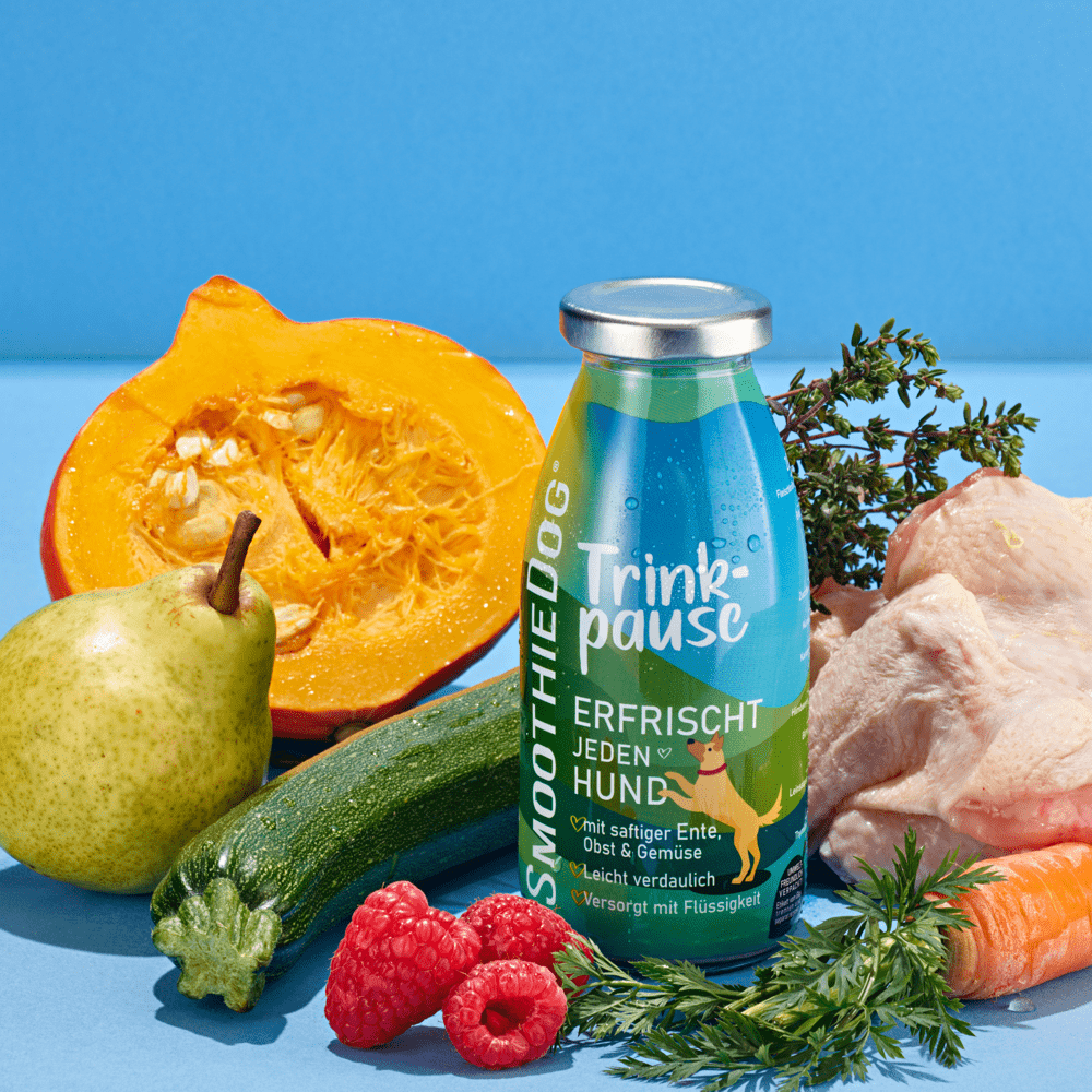 Smoothie pour chien au canard