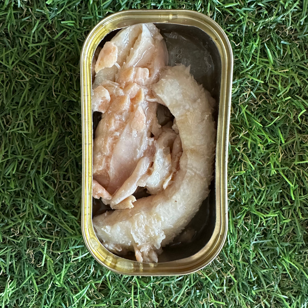 Saumon naturel pour chien