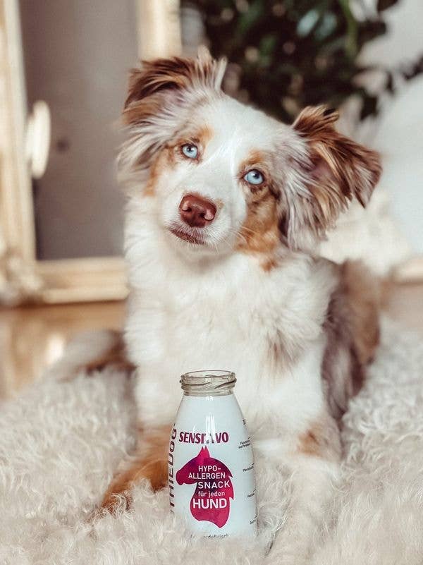 Smoothie pour chiens Sensitivo
