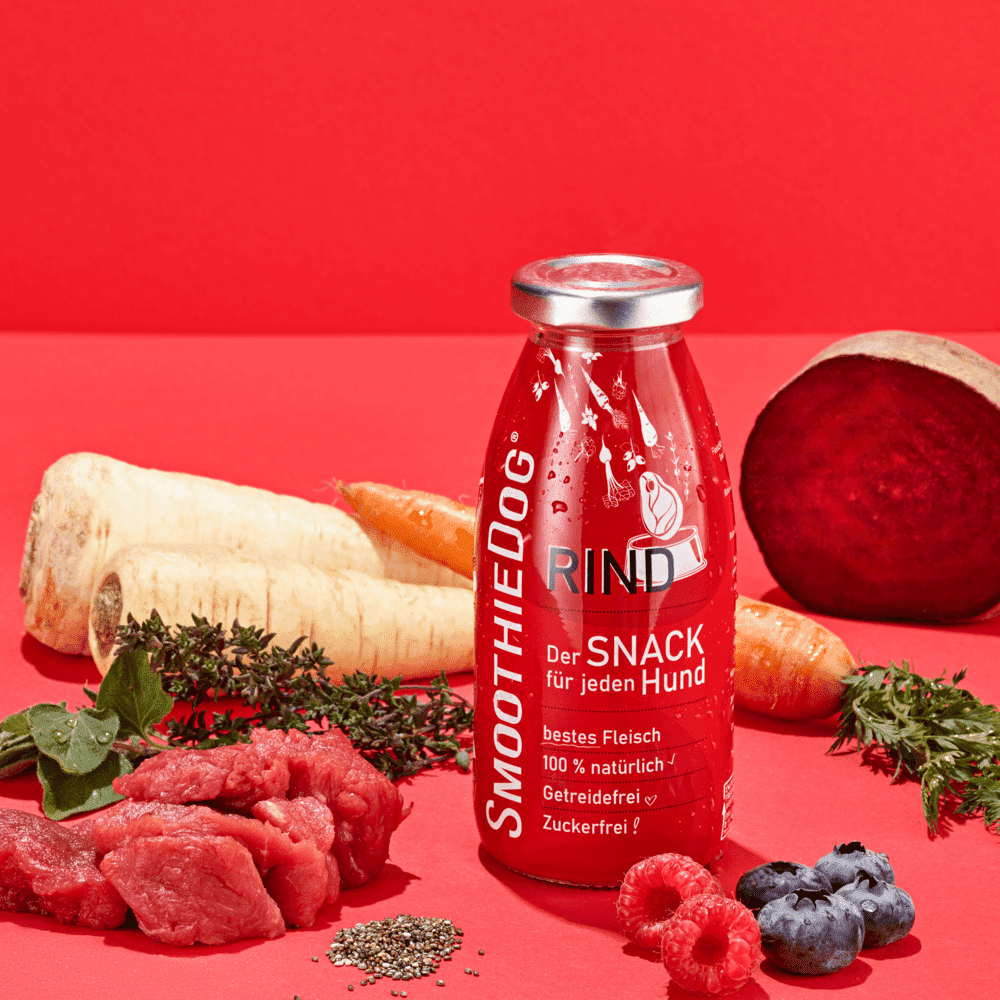Smoothie pour chien au bœuf