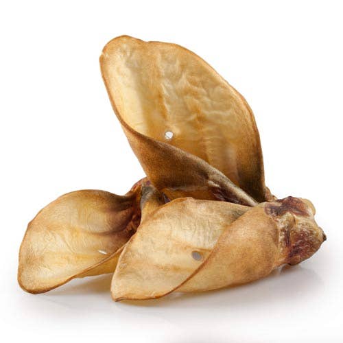 Oreilles de bœuf poilue - 3 pièces Mastication longue