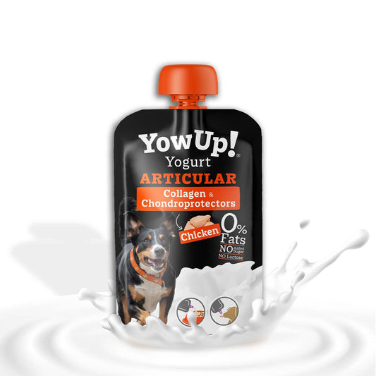 Yaourt Fit & Vital pour chiens  - sans lactose