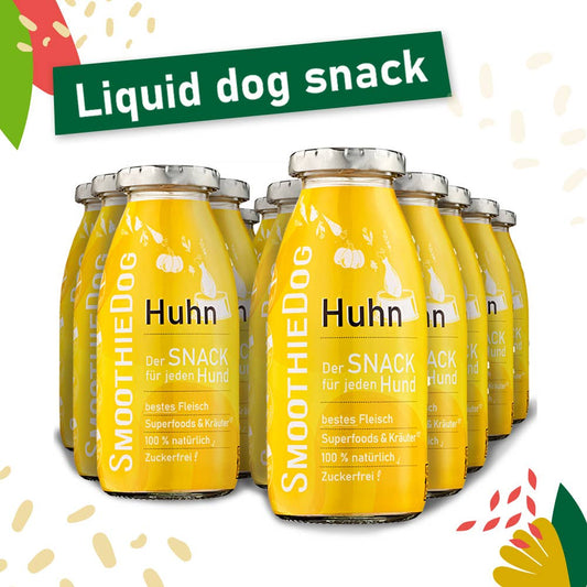 Smoothie pour chien au poulet