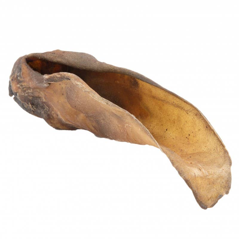 Oreilles de bœuf poilue - 3 pièces Mastication longue