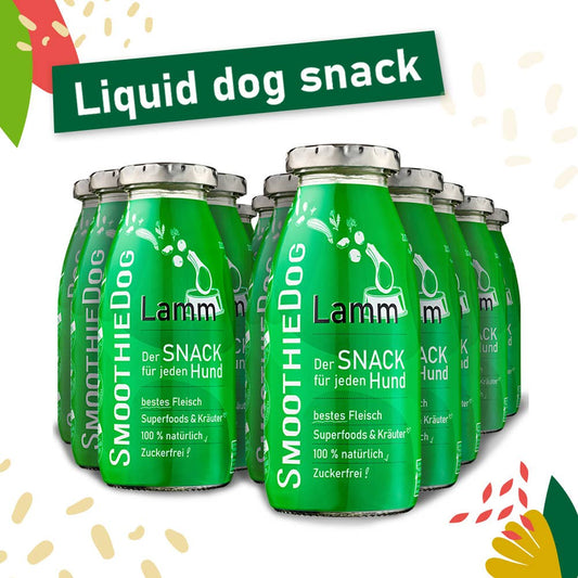 Smoothie pour chien à l'agneau